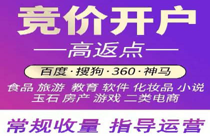 成功SEM推广代运营案例分享