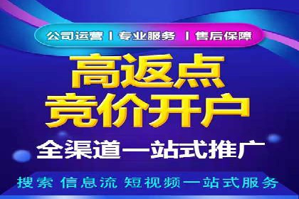 信息流广告成功案例分析